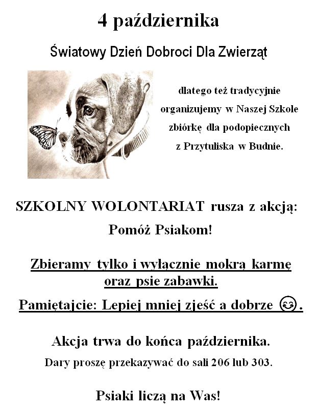 budno22.JPG