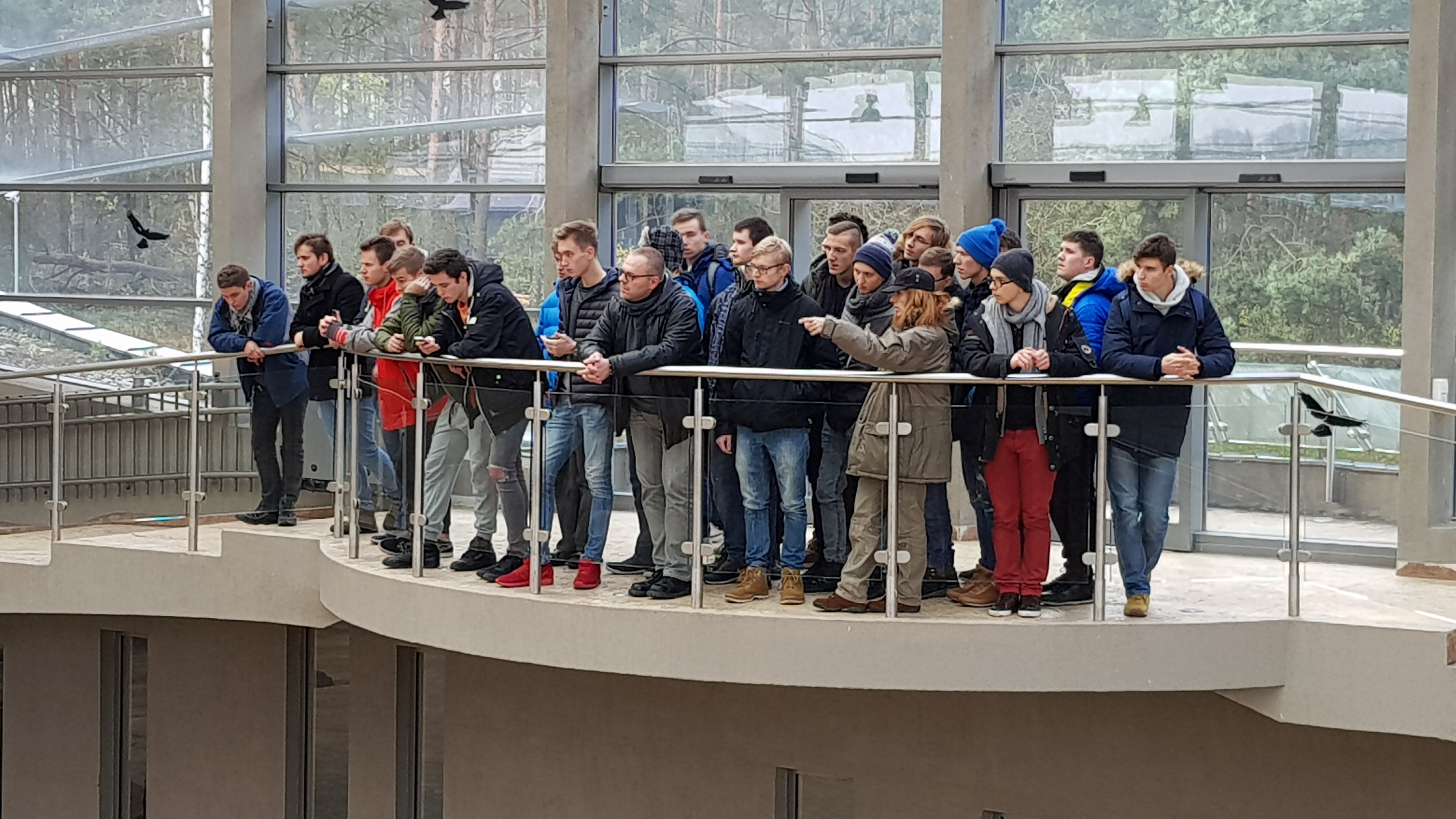 oboz4